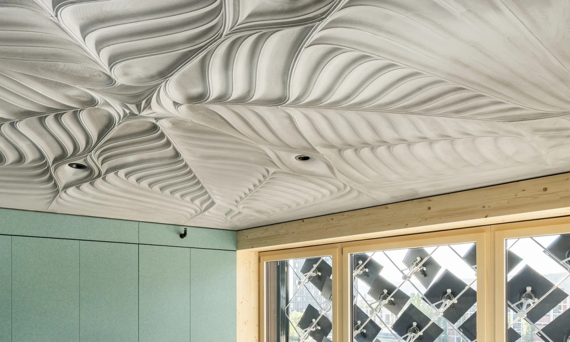 Nest Hilo 2